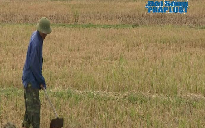 Hà Tĩnh: Nguy cơ thiếu nước sản xuất do nắng hạn kéo dài